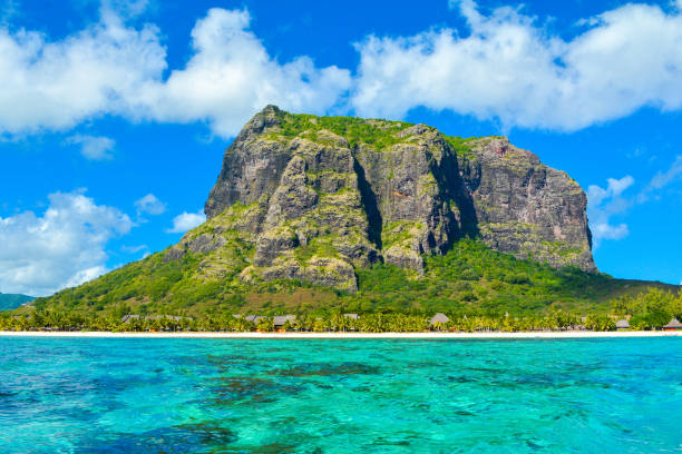istock Landscape with famous mountain Le Morne Brabant 916654006