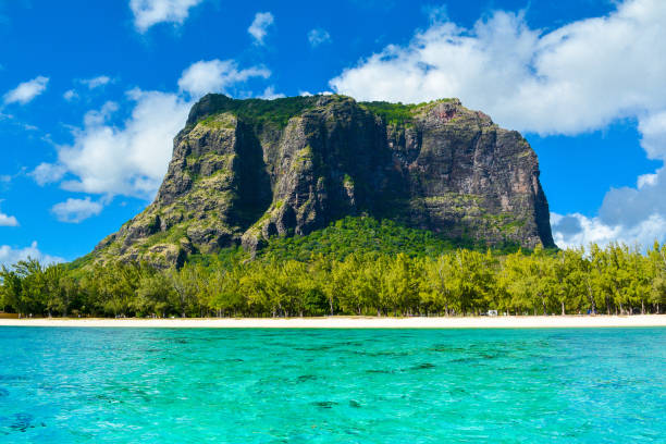 istock Landscape with famous mountain Le Morne Brabant 916654008