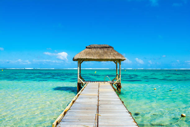 istock Beautiful tropical sunny landscape 916654230