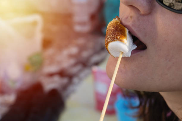 istock Camp life is sweet 916657536
