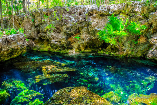 istock Green lake blue palm trees on the mountain 916660866