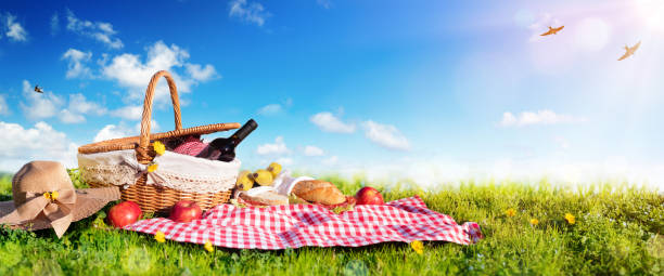 istock Picnic - Basket With Bread And Wine On Meadow 916670038