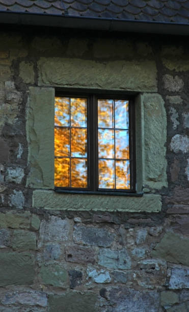 istock reflection of golden autumn tree in a window 916673962