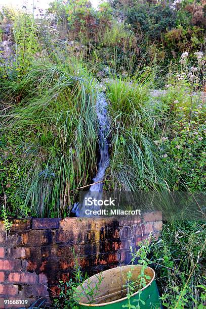 Water Spring Stock Photo - Download Image Now - Can, Color Image, Falling