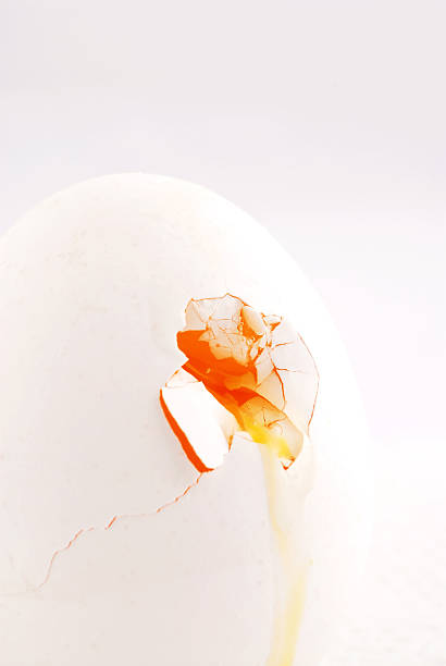 egg macro of broken egg fracturable stock pictures, royalty-free photos & images