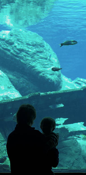 istock Mother, child at aquarium 91670019