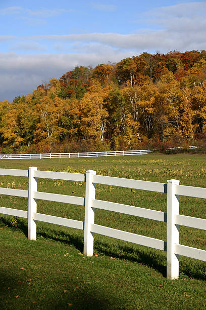 istock White Fence Trees in Background 91670694