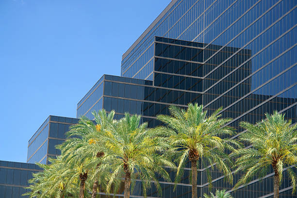 istock architecture black glass building and palm trees 91671110