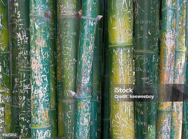 Bambù Graffiti - Fotografie stock e altre immagini di Albero - Albero, Bambù - Graminacee, Bambù - Materiale