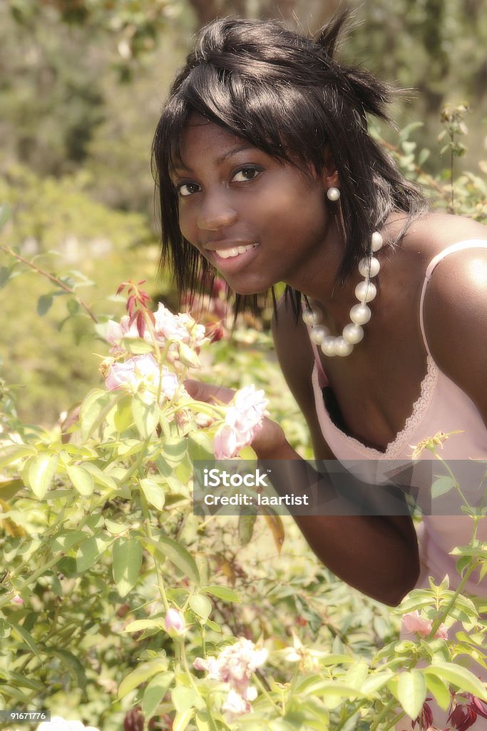 Dayo: Pink roses.  Adult Stock Photo