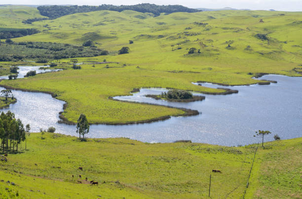 istock Beautiful view of nature, 916727554