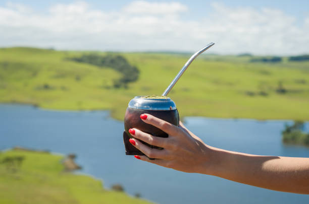 Hand of woman holding traditional mate Hand of woman holding traditional mate, mate, with green field view. porto grande stock pictures, royalty-free photos & images