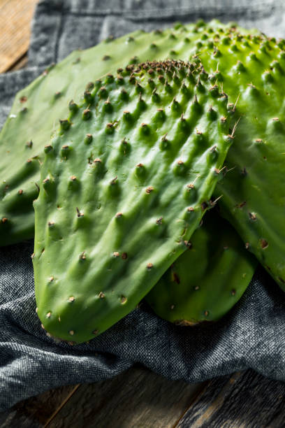 istock Raw Green Organic Cactus Leaf Fruit 916731398