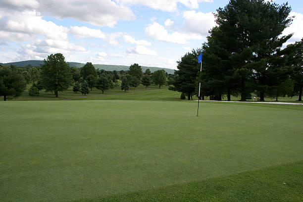 istock golf green wide with fairway curve 91673141
