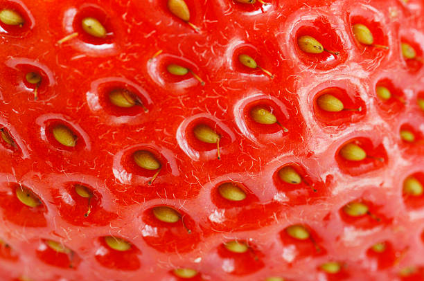 istock macro of strawberry skin surface background 91673589
