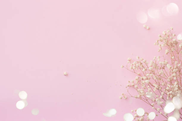 istock Pink background with small white flowers and bokeh, with copy space 916738656