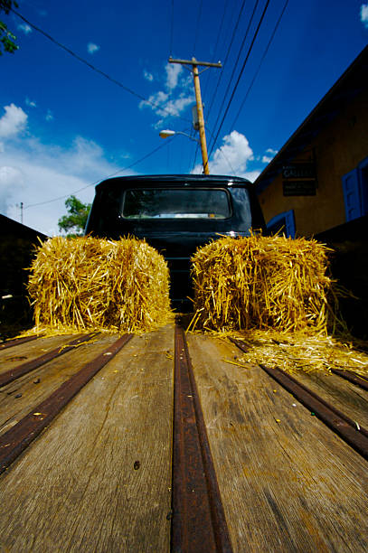 Hay Truck An old black pickup truck loaded with hay bed of hay stock pictures, royalty-free photos & images