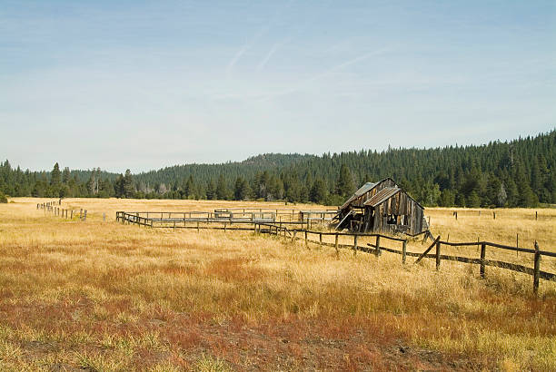 istock barn in field sierraville, california 91674040