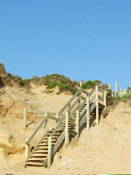 istock stairs up from the beach 91674298