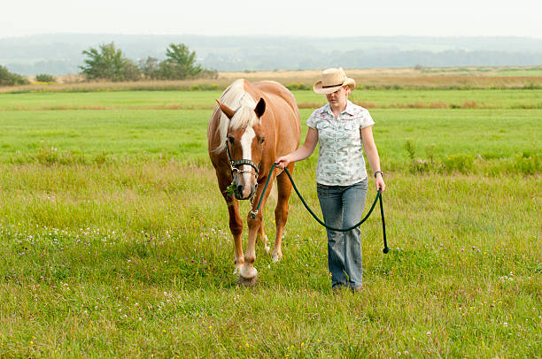 istock Girl Leading Horse 91675317