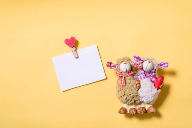 istock Couple sheep doll and blank white card 916759256