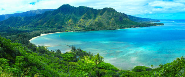 istock Landscape from the Crouching / Lion rock 916766706