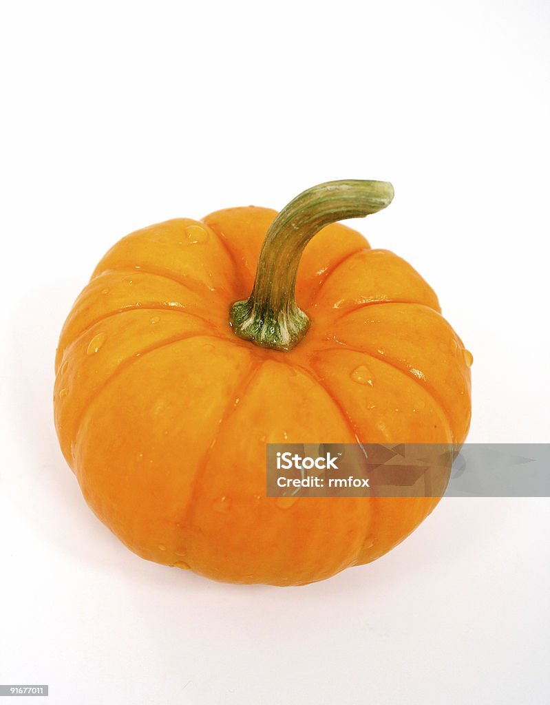 Mini Pumpkin  Color Image Stock Photo