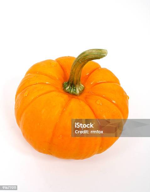 Mini Pumpkin Stock Photo - Download Image Now - Color Image, Cut Out, No People