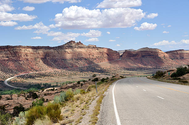 istock Trail of the Ancients Road and Comb Ridge 91677182