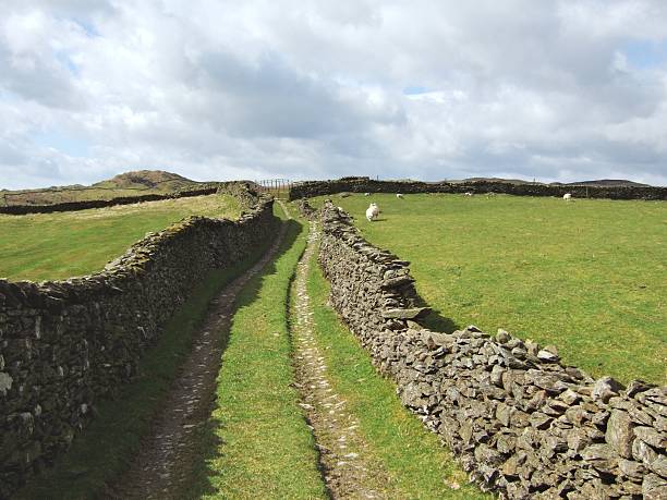 istock Bridleway in Longsleddale 91677517