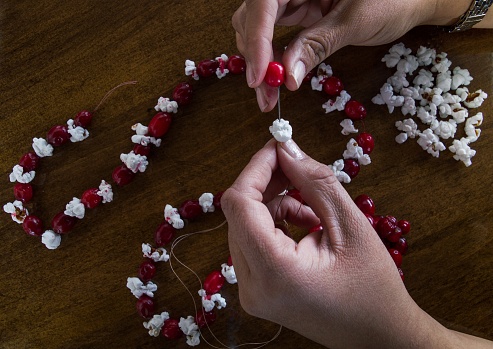 A woman stringing popcorn and fresh cranberries to make a strand of garland.  Only her hands are shown. Photographed from above.
