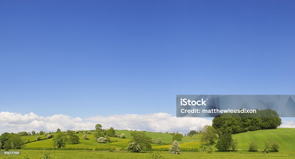 Ciel bleu et field - Photo de Agriculture libre de droits