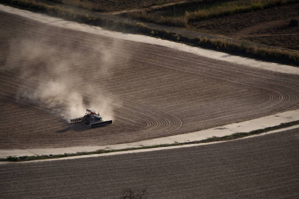 istock Cassava drying causing pollution and deforestation for cash profit. 916782794