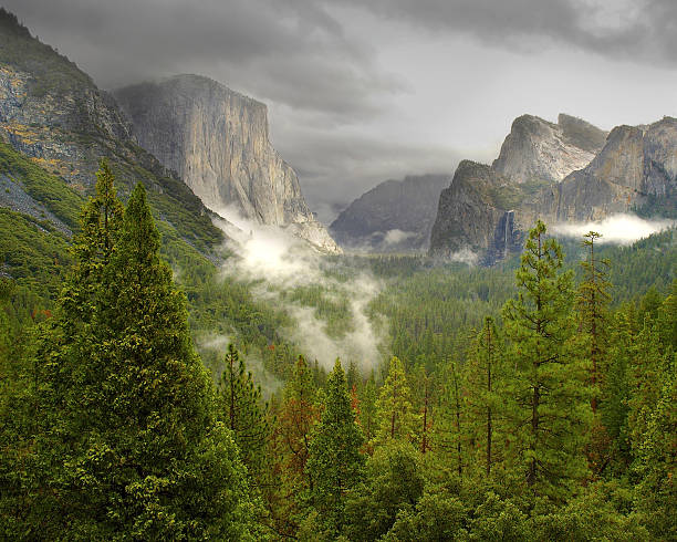 istock Yosemite Valley with fog and cloudy sky's 91678432