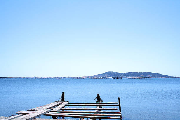 Cultivation of mussels. stock photo