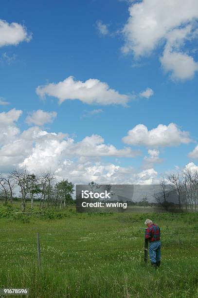 Naturalista Tenderanno Azzurro Caselle - Fotografie stock e altre immagini di Adulto - Adulto, Agricoltura, Alberta