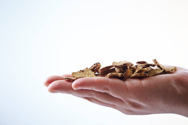 Chinese herbal medicine in hand