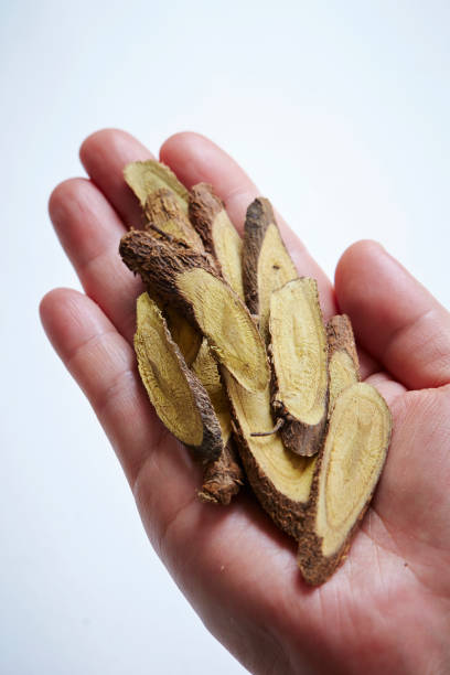 chinese medicine  scutellaria baicalensis georgion, dried root sliced