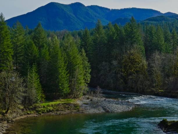 istock Oregon's Elkhorn Valley Area 916793692