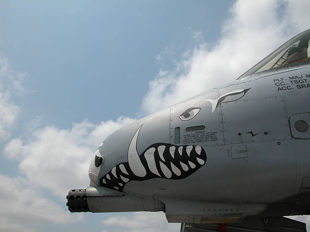 A-10 Nose Art stock photo