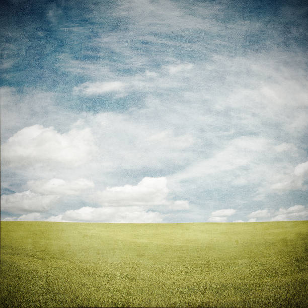 istock grunge image of a field 916797136