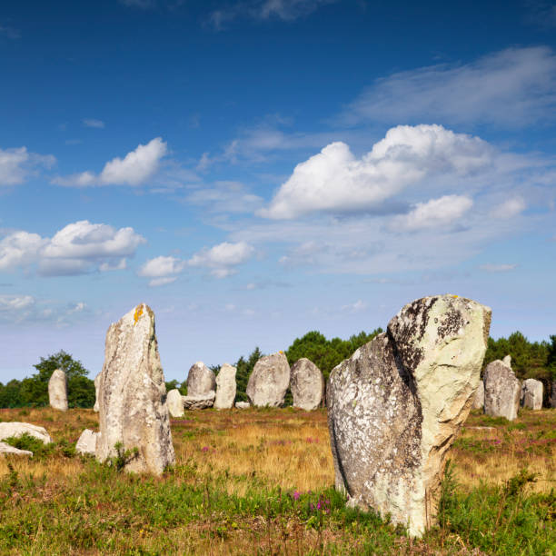Some of the 3000 standing stones at Carnac, Brittany, France. It is believed that these stones were placed in position around 5000 years ago.