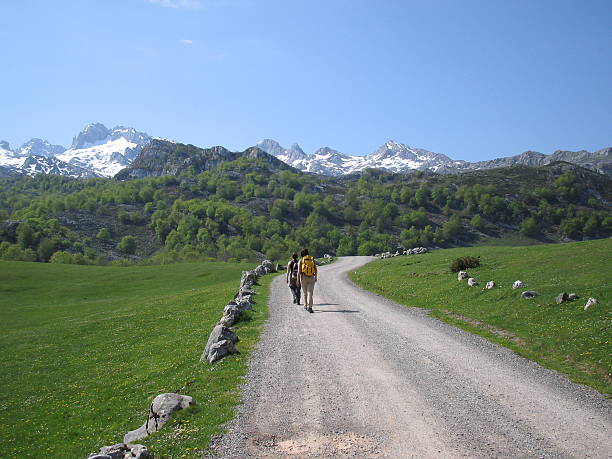 트레킹 - steep road footpath moving down 뉴스 사진 이미지