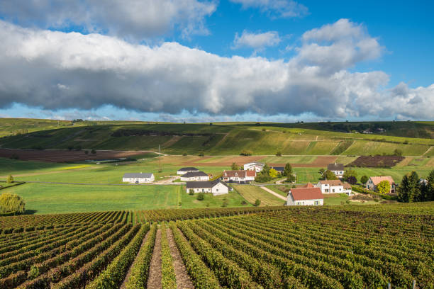 winnice doliny loary, francja - cher france village centre zdjęcia i obrazy z banku zdjęć