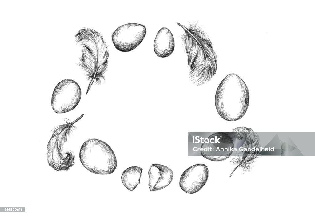 a ring of eggs and feathers Illustration of a ring of eggs and feathers Affectionate stock illustration