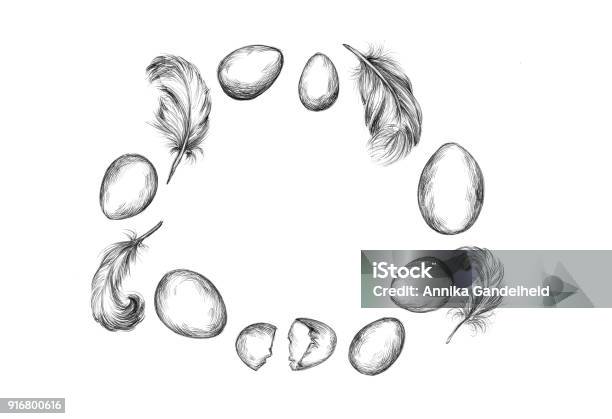 A Ring Of Eggs And Feathers Stock Illustration - Download Image Now - Affectionate, Blank, Border - Frame