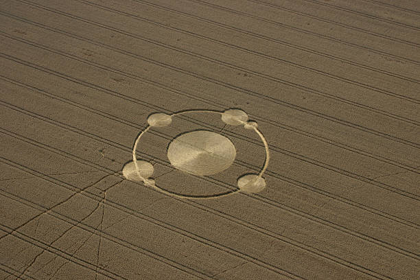 Crop circles in the field of wheat  crop circle stock pictures, royalty-free photos & images