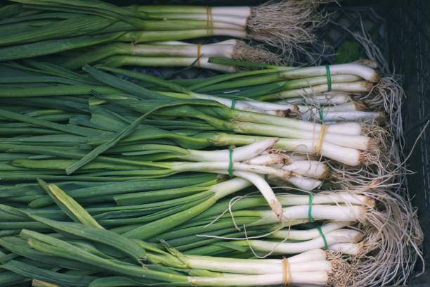 istock Bunches of green onions 916804020