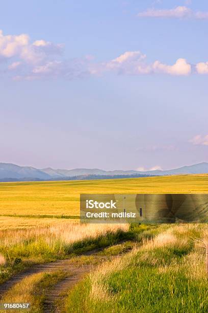 Ścieżka Prowadząca Do Pola Stan Montana - zdjęcia stockowe i więcej obrazów Stan Montana - Stan Montana, Tło, Krajobraz