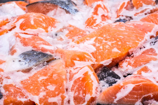 Slices of salmon frozen on ice. Studio Photo
